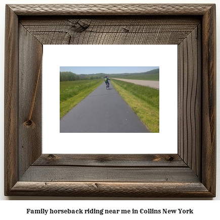 family horseback riding near me in Collins, New York